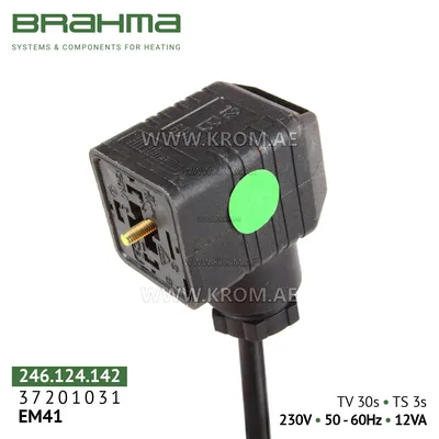Brahma 37201031 EM41 control box