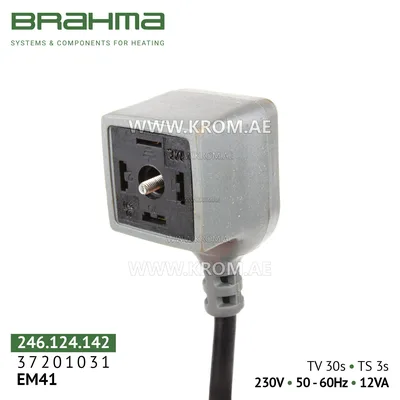 Brahma 37201031 EM41 control box