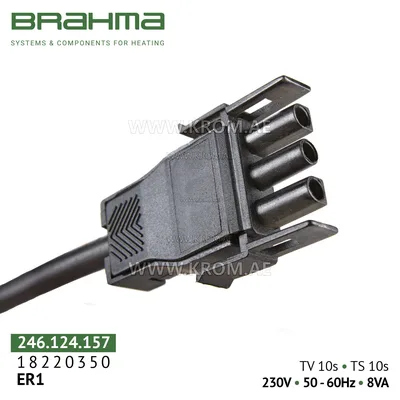 Brahma 18220350 ER1 control box