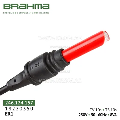 Brahma 18220350 ER1 control box
