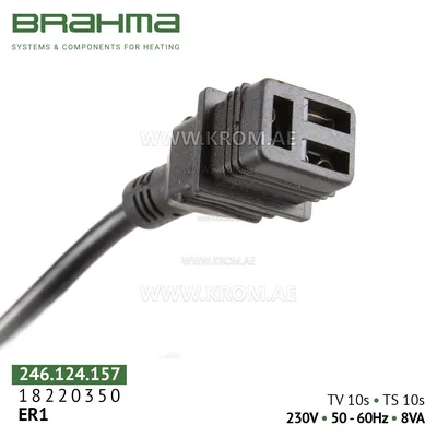 Brahma 18220350 ER1 control box