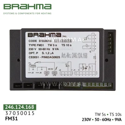 Brahma 37030015 FM31 control box