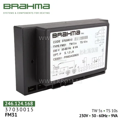 Brahma 37030015 FM31 control box