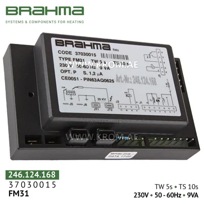 Brahma 37030015 FM31 control box