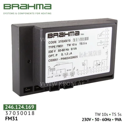 Brahma 37030018 FM31 control box