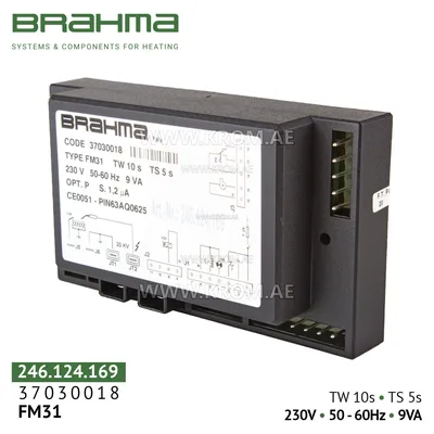 Brahma 37030018 FM31 control box