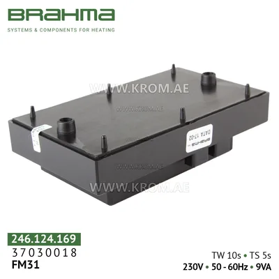 Brahma 37030018 FM31 control box