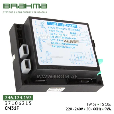 Brahma 37106215 CM31F control box