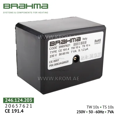 Brahma 20657621 CE191.4 control box