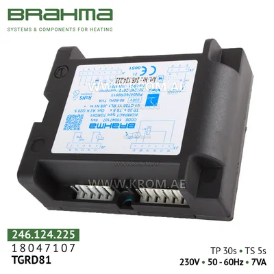 Brahma 18047107 TGRD81 control box