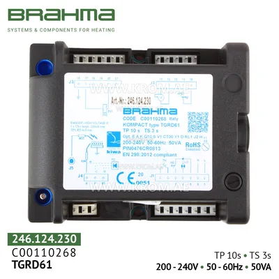 Brahma C00110268 TGRD61 control box