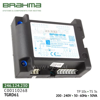 Brahma C00110268 TGRD61 control box