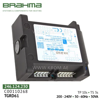 Brahma C00110268 TGRD61 control box