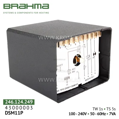 Brahma 43000003 DSM11P control box