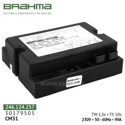 Brahma 30179505 CM31 control box