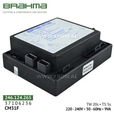 Brahma 37106236 CM31F control box