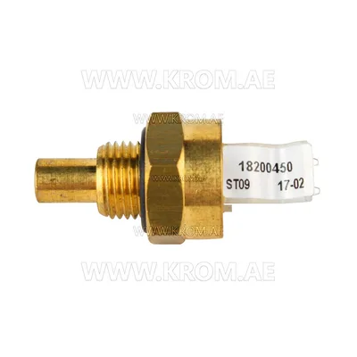 Brahma 18200450 ST09 Z G1/8 CH15 temperature sensor