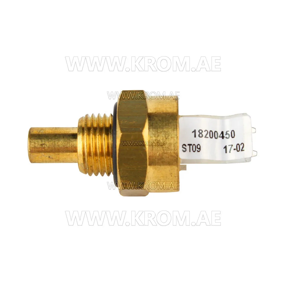 Brahma 18200450 ST09 Z G1/8 CH15 temperature sensor
