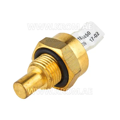 Brahma 18200450 ST09 Z G1/8 CH15 temperature sensor