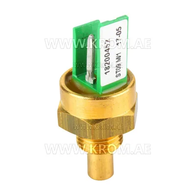 Brahma 18200452 ST09 M/1 G1/8 CH15 temperature sensor