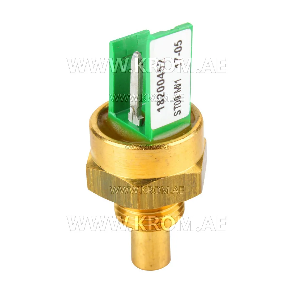 Brahma 18200452 ST09 M/1 G1/8 CH15 temperature sensor
