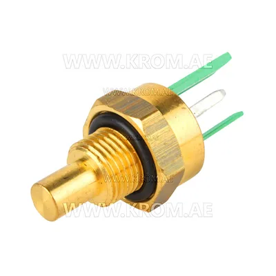 Brahma 18200452 ST09 M/1 G1/8 CH15 temperature sensor