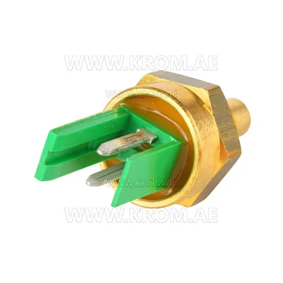 Brahma 18200452 ST09 M/1 G1/8 CH15 temperature sensor