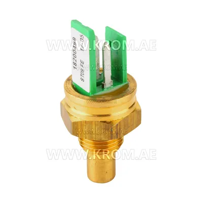 Brahma 18200499 ST09 FE M/1 G1/8 CH15 temperature sensor