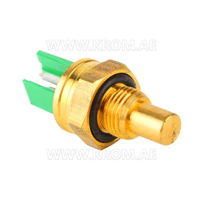 Brahma 18200499 ST09 FE M/1 G1/8 CH15 temperature sensor