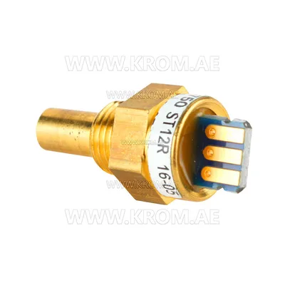 Brahma 18200750 ST12R G1/8 CH13 temperature sensor