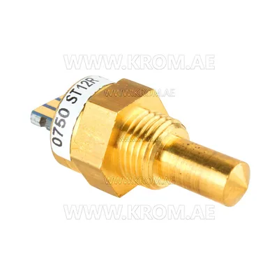 Brahma 18200750 ST12R G1/8 CH13 temperature sensor