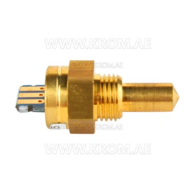 Brahma 18200750 ST12R G1/8 CH13 temperature sensor