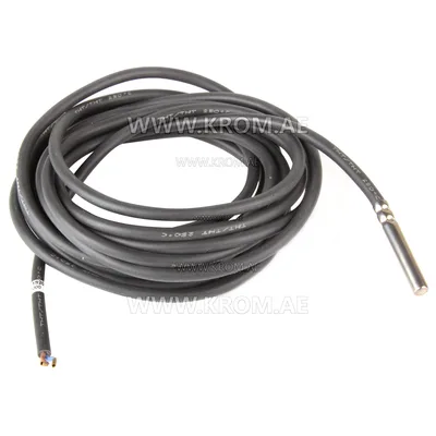 Brahma 18200801 PT1000 CM350 W temperature sensor