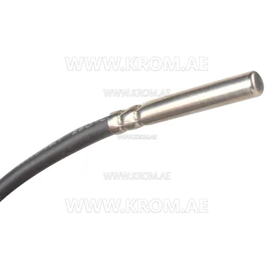Brahma 18200801 PT1000 CM350 W temperature sensor
