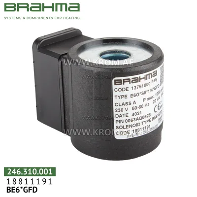 Brahma 18811191 BE6*GFD solenoid coil