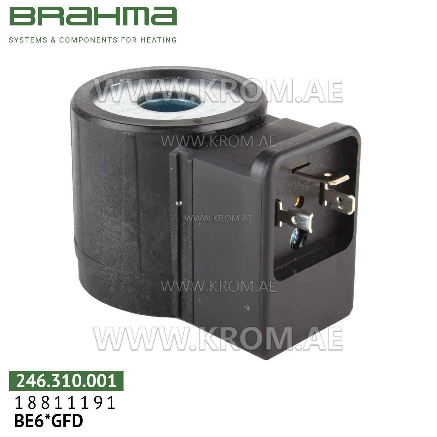 Brahma 18811191 BE6*GFD solenoid coil