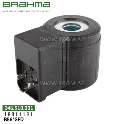 Brahma 18811191 BE6*GFD solenoid coil