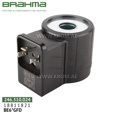 Brahma 18811821 BE6*GFD solenoid coil