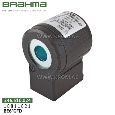 Brahma 18811821 BE6*GFD solenoid coil