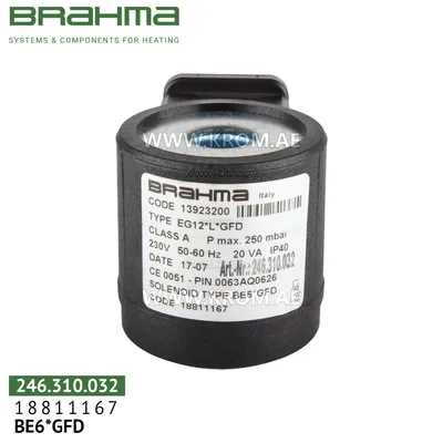 Brahma 18811167 BE6*GFD solenoid coil