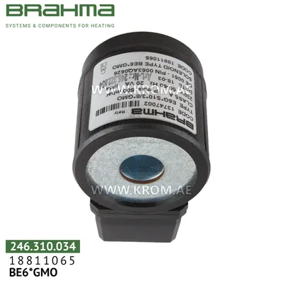 Brahma 18811065 BE6*GMO solenoid coil