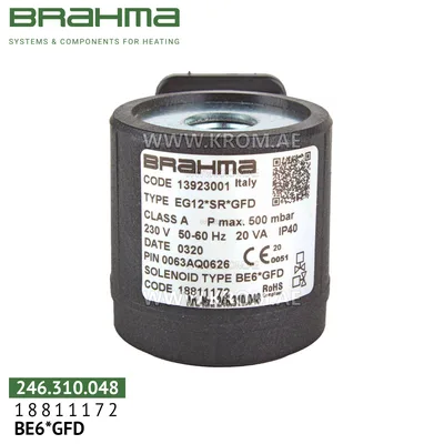 Brahma 18811172 BE6*GFD solenoid coil