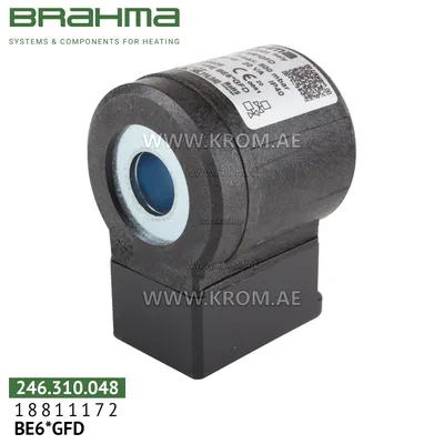 Brahma 18811172 BE6*GFD solenoid coil