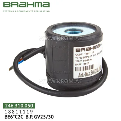 Brahma 18811119 BE6*C2C solenoid coil
