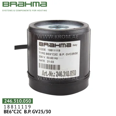 Brahma 18811119 BE6*C2C solenoid coil