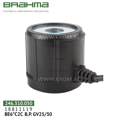 Brahma 18811119 BE6*C2C solenoid coil
