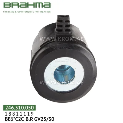 Brahma 18811119 BE6*C2C solenoid coil
