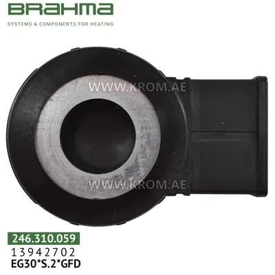Brahma 18813064 BE8*GFD coil for valve 13942702