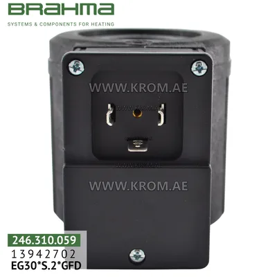 Brahma 18813064 BE8*GFD coil for valve 13942702