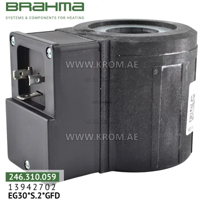 Brahma 18813064 BE8*GFD coil for valve 13942702